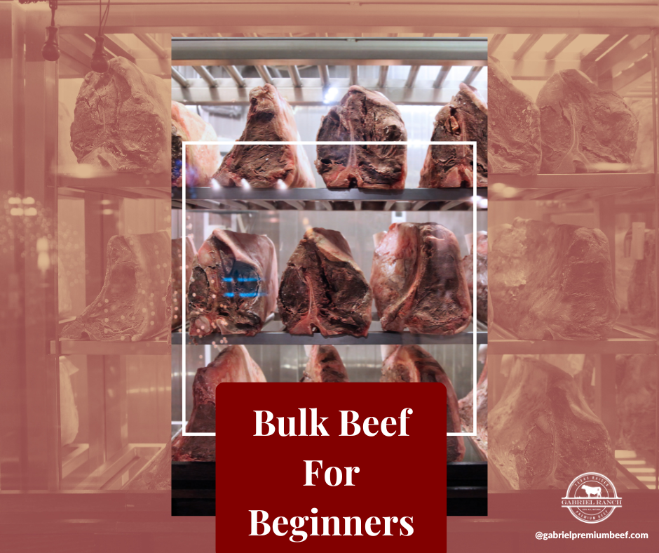 Bulk Beef for Beginners – Gabriel Ranch